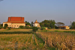 Discovering Kratie
